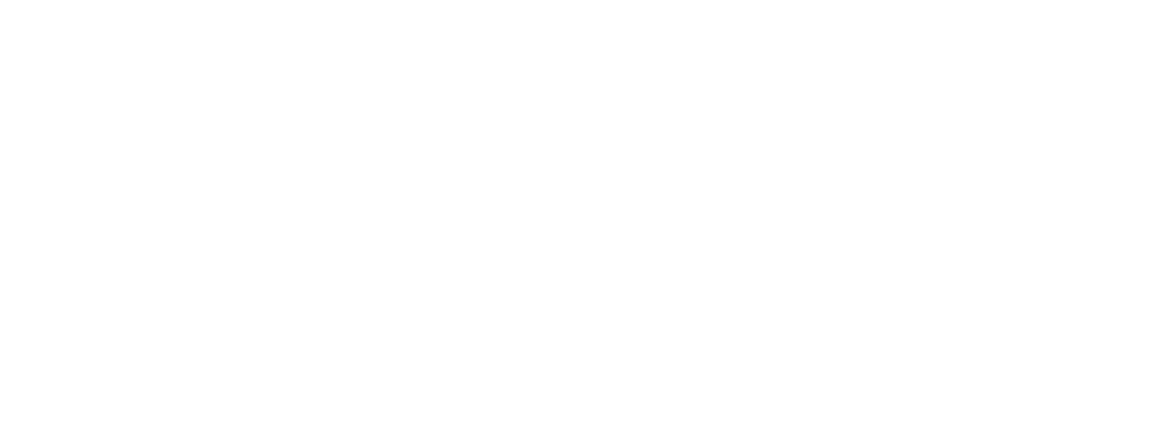 FLX Music Logo
