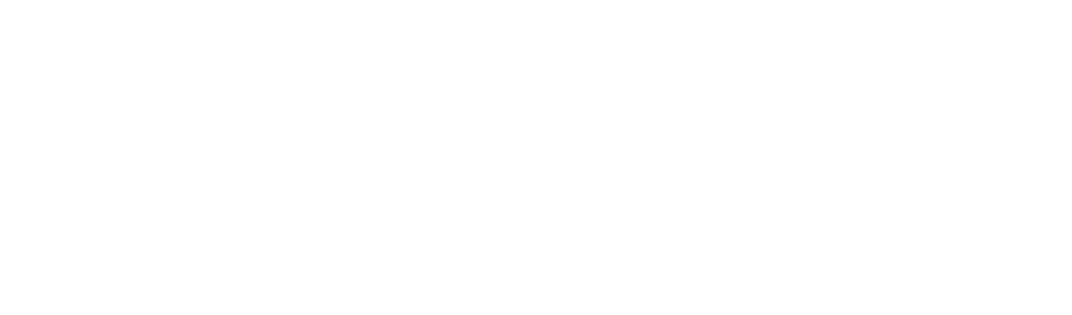 FLX Compass